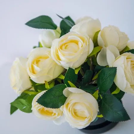 Elegant Avenue Escape דירה